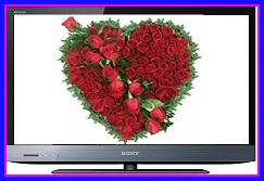 ELECTRONIC EQUIPMENT REPAIR CENTRE : SONY KDL-32EX420 - KDL ELECTRONIC EQUIPMENT REPAIR CENTRE : SONY KDL-32EX420 - KDL